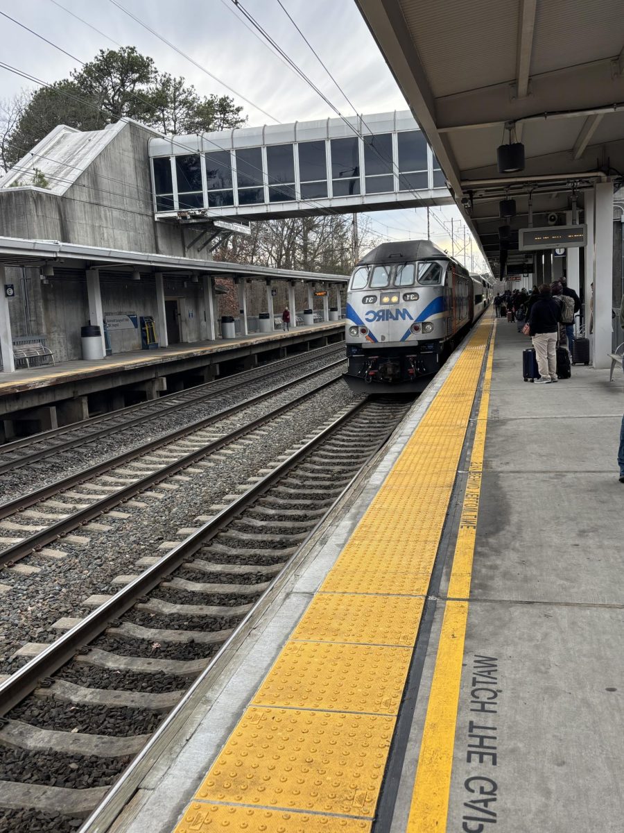 WCHS freshman Violet Wilner rode the train from Washington DC to New York City. She left on Dec. 21, which was before school ended.